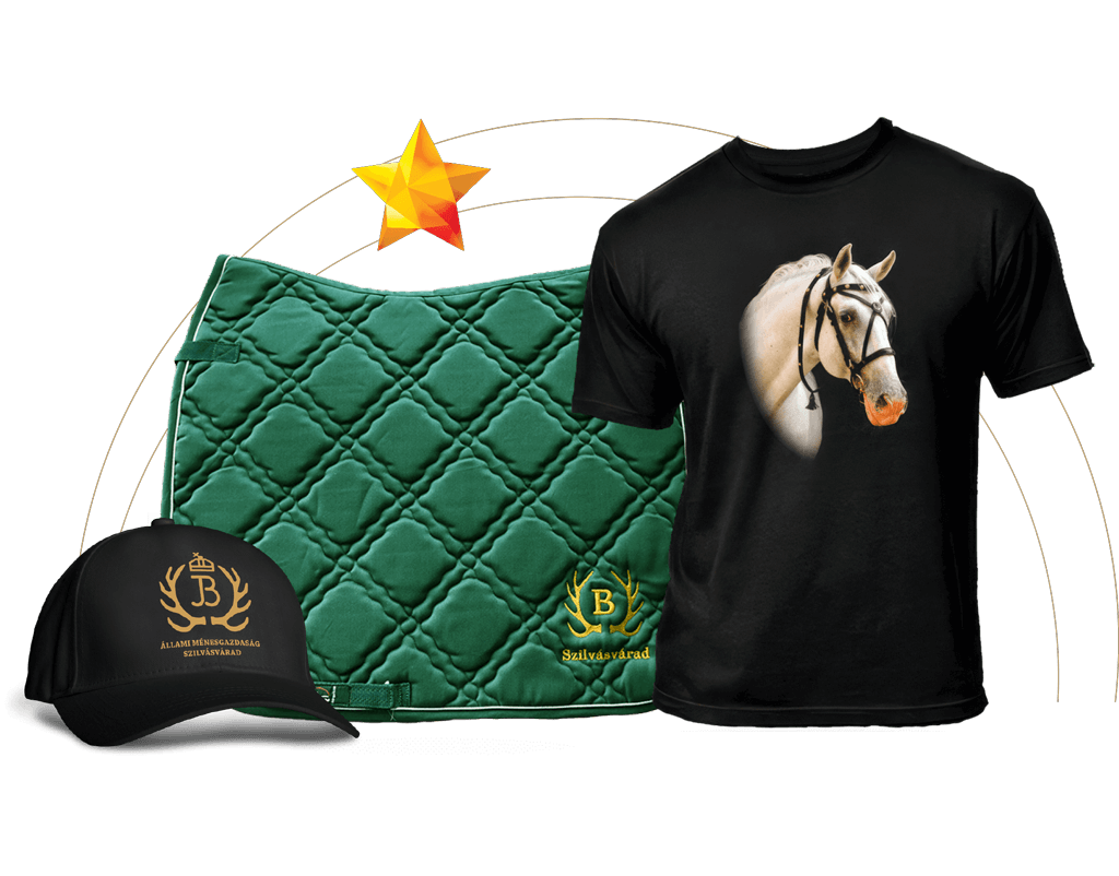 “Waiting for the Good Weather Package”