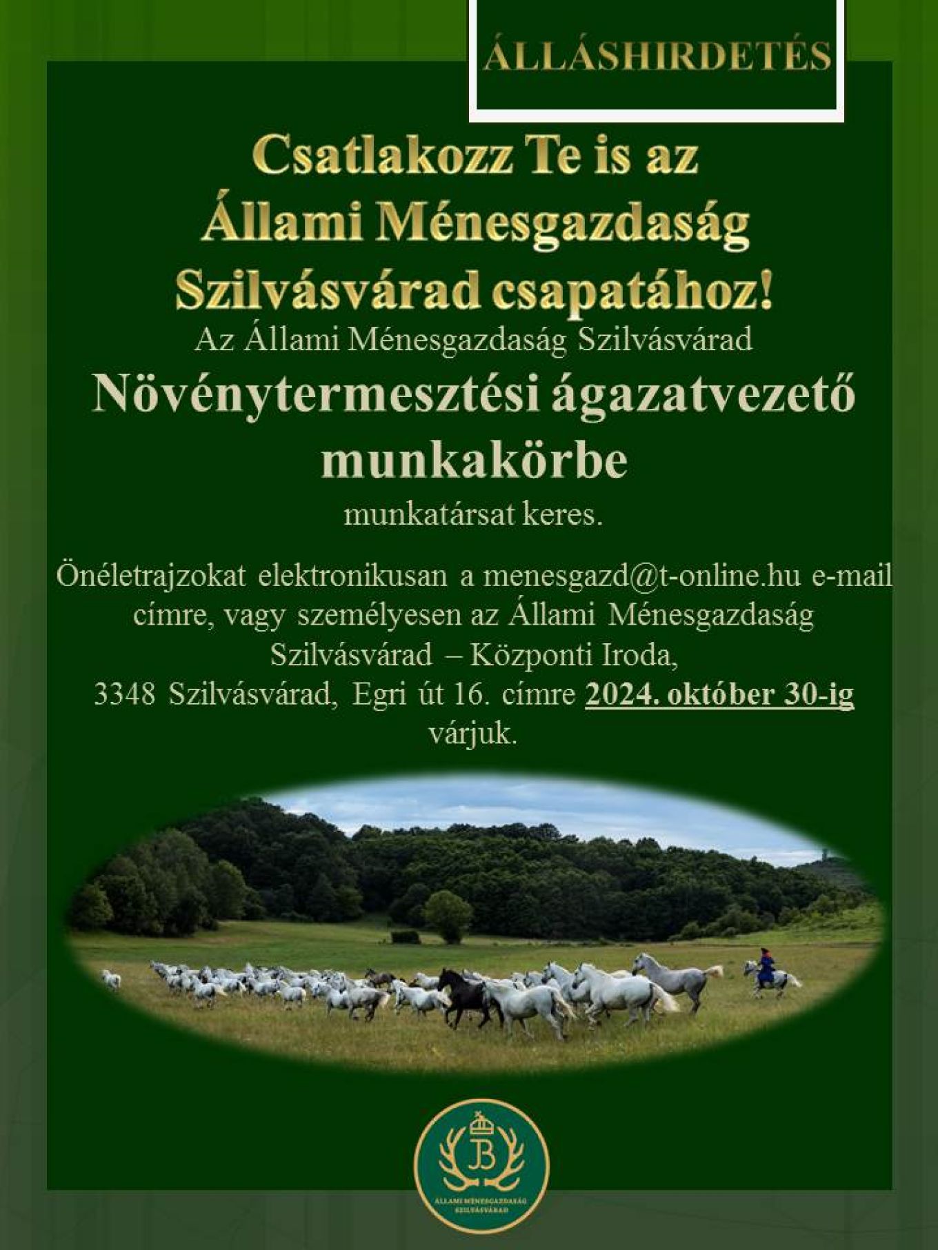 ÁLLÁSHIRDETÉS - növénytermesztési ágazatvezető munkakör