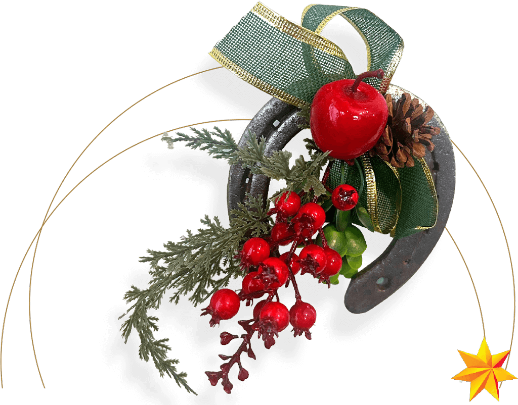 Holiday Lucky Horseshoe