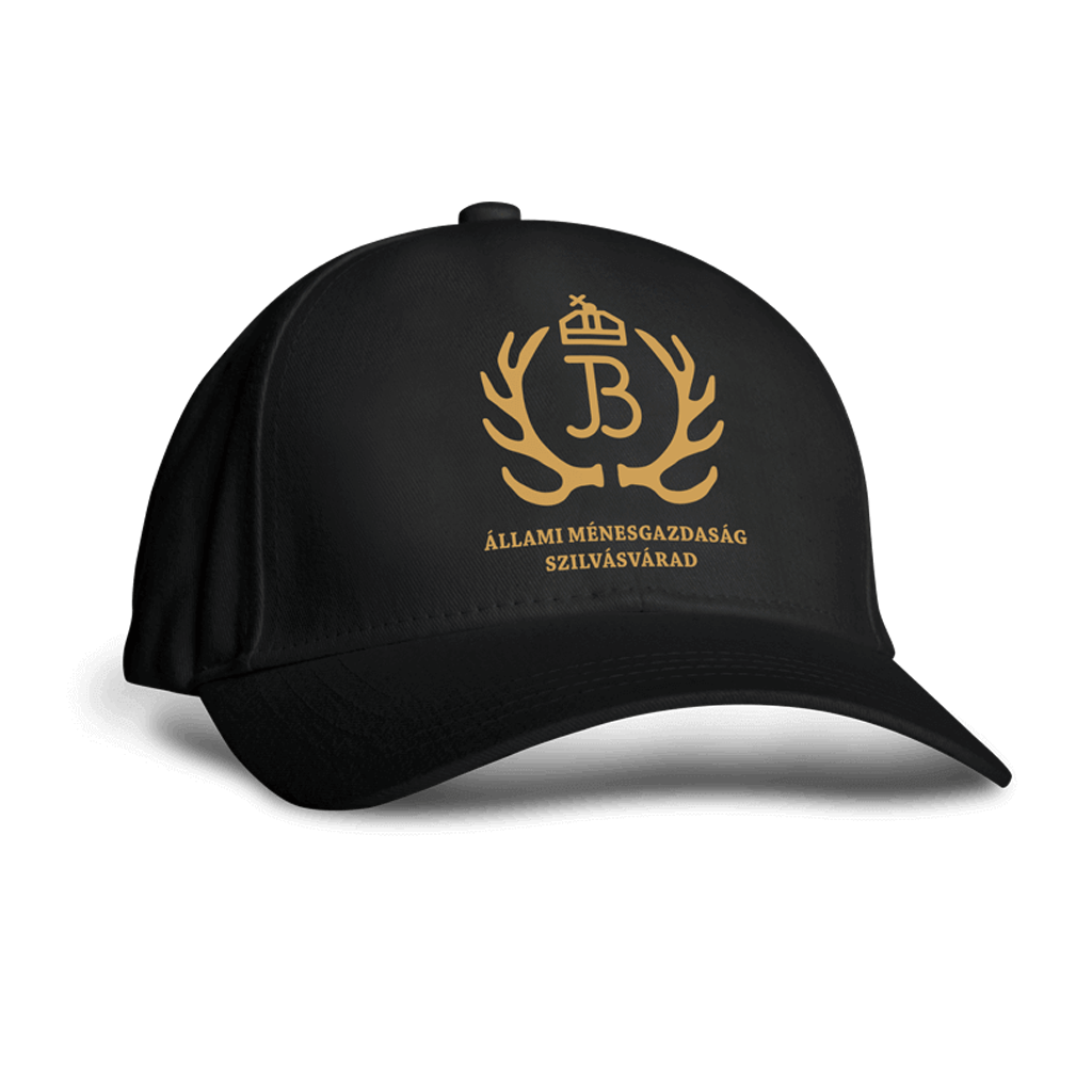 Black Baseball Cap