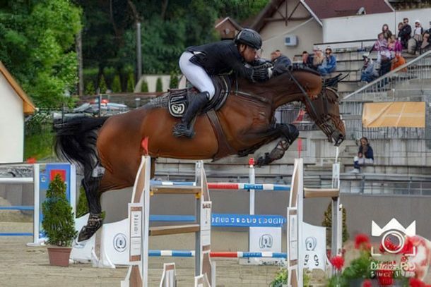 One of the riders at the Szilvásvárad Masters competition is jumping