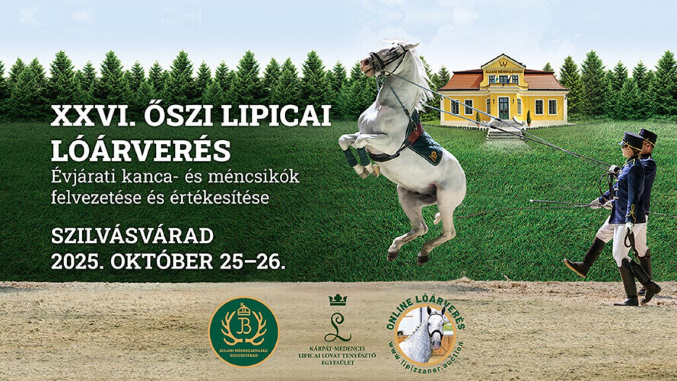 Várjuk XXVI. Őszi Lipicai Lóárverésünkön Szilvásváradon