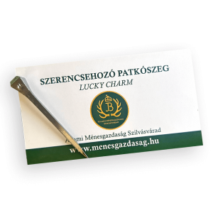 Lucky Horseshoe Nail