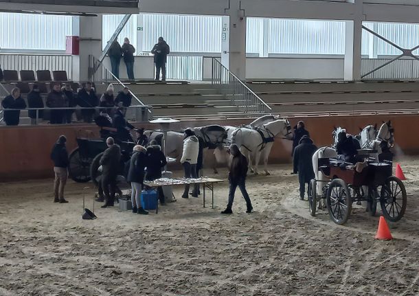 Négyesfogathajtó edzőtábor lovarda képe