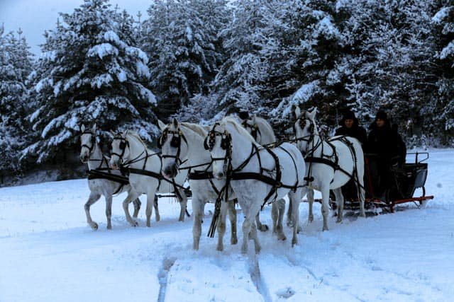 Based on forecasts, significant snowfall is expected in our area!
Due to the increased interest,...