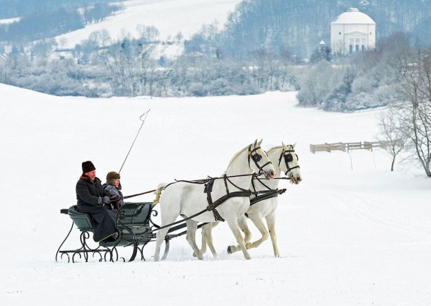 Lovasszan Csipkeskuton