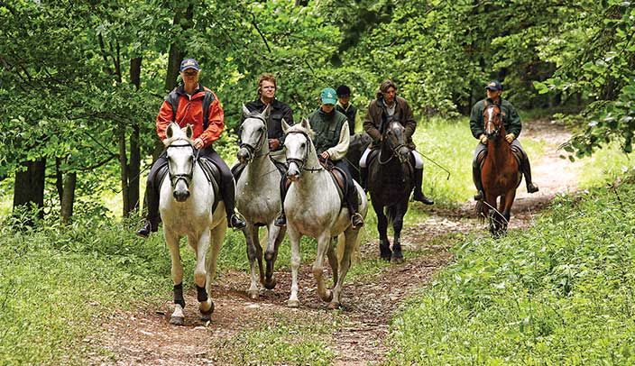 Riding lessons