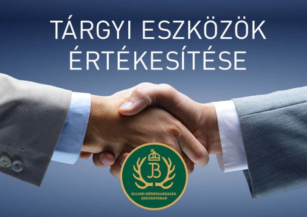 tárgyi eszközök értékesítése - kézrázás