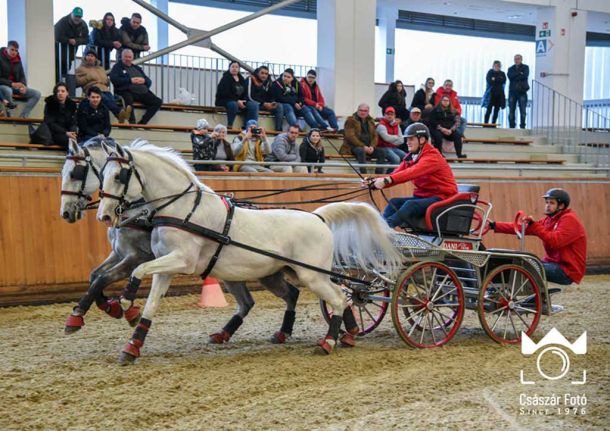 Fedettpályás Fogathajtó OB Döntő