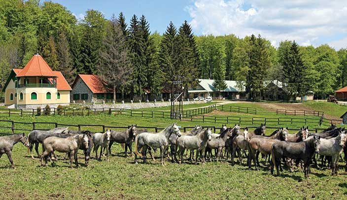  Trail Rides to Csipkéskút