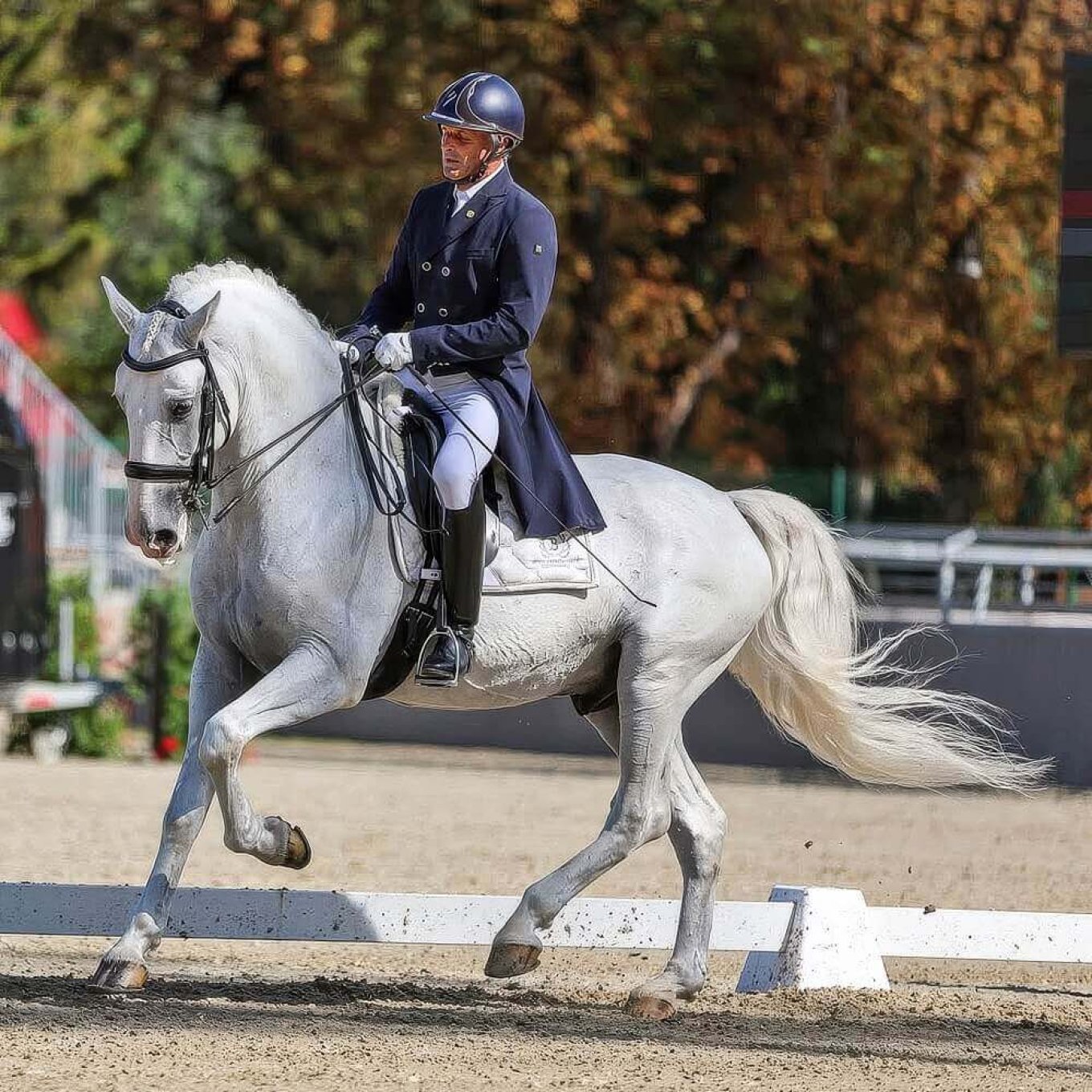 Miko Tamas Conversano XXVIII-37