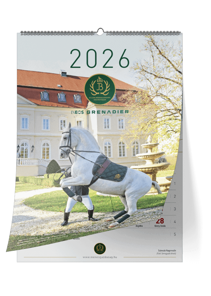 2026 Wall Calendar Cover