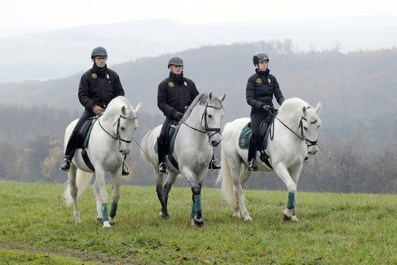 Two riders on Lipizzaner horses in the Szilvásvárad landscape